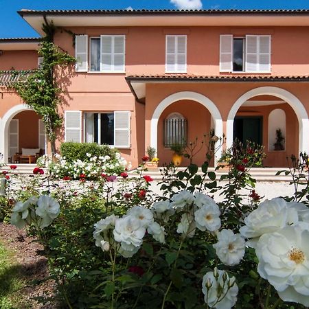 Villa Garulli Montelupone エクステリア 写真